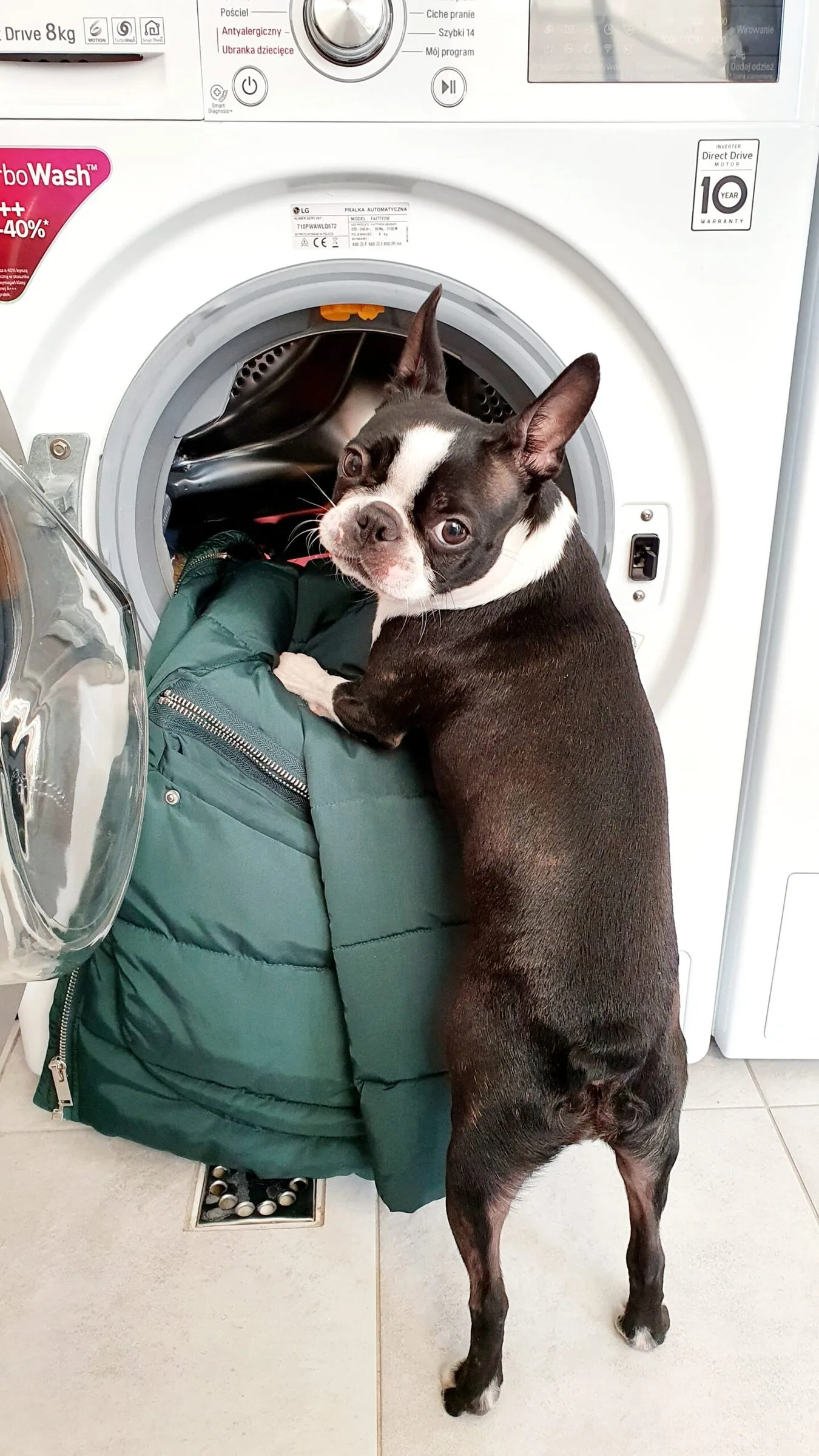 Jak prać kurtkę puchową w pralce? Poradnik krok po kroku