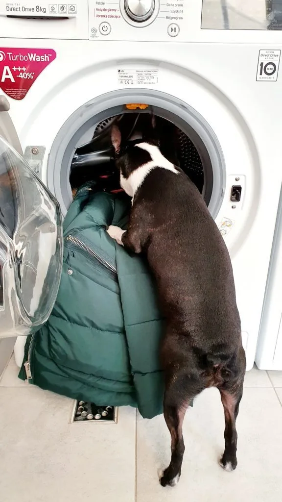 Pranie kurtki puchowej